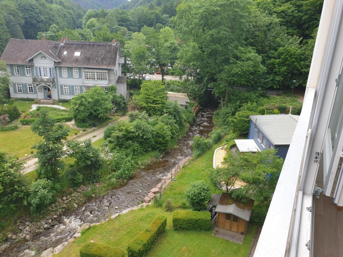 Apartz - Bad Harzburg - Apartment Mit Sauna In Idealer Lage Mit Bergblick 外观 照片