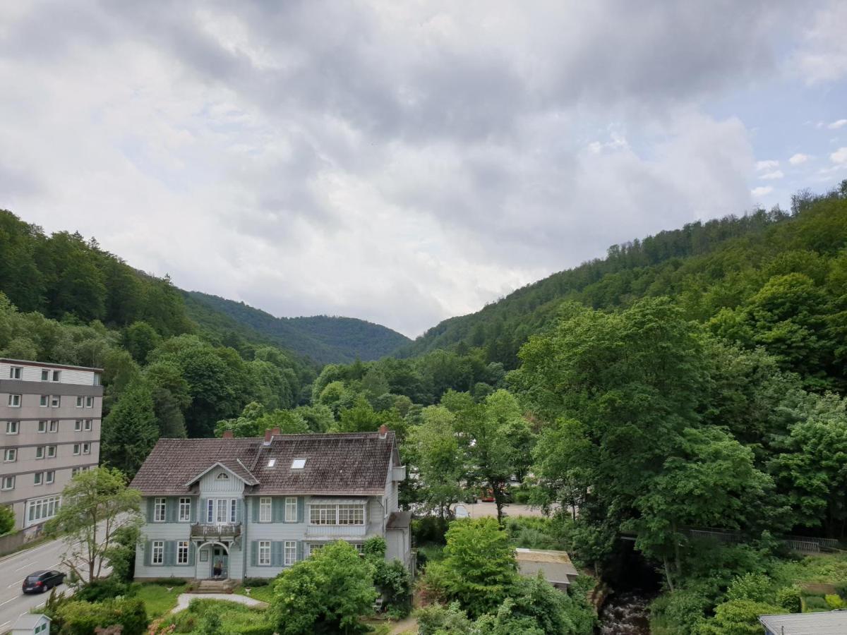 Apartz - Bad Harzburg - Apartment Mit Sauna In Idealer Lage Mit Bergblick 外观 照片
